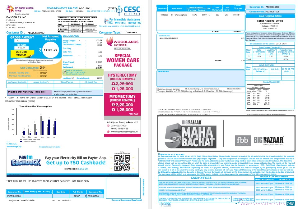 Download INDIA CESC LIMITED business utility bill Word and PDF Photoshop template